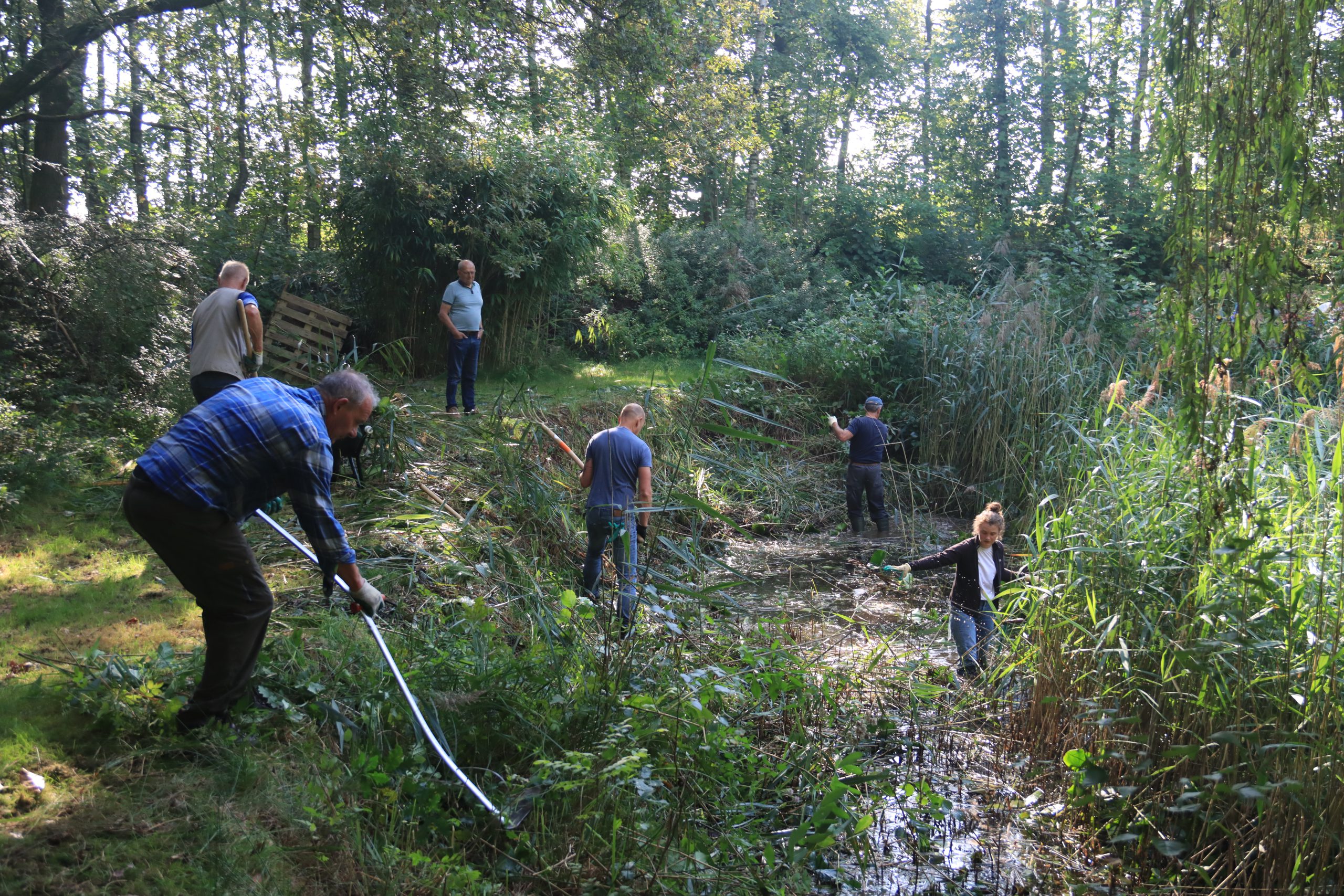 Praktijkcursus Landschapsbeheer