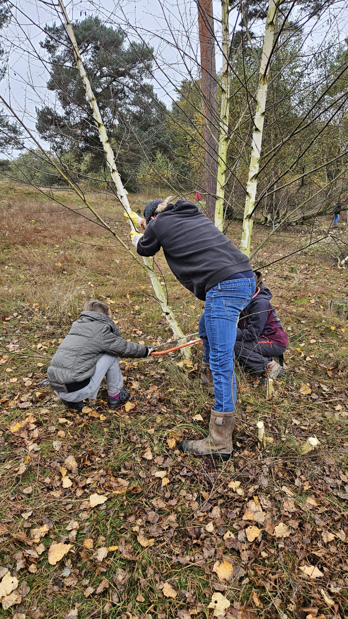 744 deelnemers maken het landschap dichtbij huis een stukje mooier 